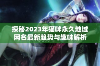 探秘2023年猫咪永久地域网名最新趋势与趣味解析