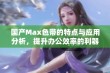 国产Max色带的特点与应用分析，提升办公效率的利器