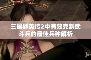 三国群英传2中有效克制武斗兵的最佳兵种解析