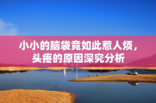 小小的脑袋竟如此惹人烦，头疼的原因深究分析