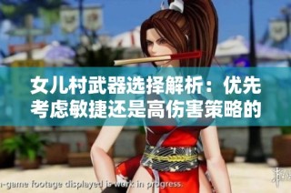 女儿村武器选择解析：优先考虑敏捷还是高伤害策略的思考