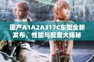 国产A1A2A317C车型全新发布，性能与配置大揭秘