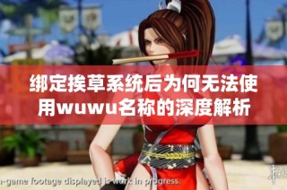 绑定挨草系统后为何无法使用wuwu名称的深度解析