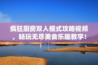 疯狂厨房双人模式攻略视频，畅玩无尽美食乐趣教学！