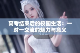 高考结束后的校园生活：一对一交流的魅力与意义