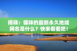 揭晓：猫咪的最新永久地域网名是什么？快来看看吧！