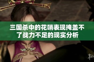 三国杀中的花哨表现掩盖不了战力不足的现实分析