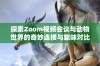 探索Zoom视频会议与动物世界的奇妙连接与趣味对比