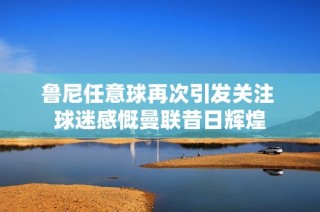 鲁尼任意球再次引发关注 球迷感慨曼联昔日辉煌