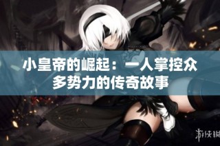小皇帝的崛起：一人掌控众多势力的传奇故事