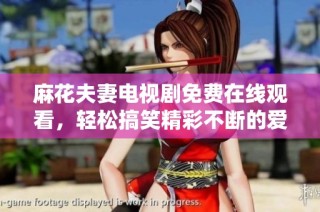 麻花夫妻电视剧免费在线观看，轻松搞笑精彩不断的爱情故事