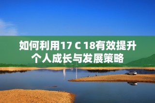 如何利用17Ｃ18有效提升个人成长与发展策略