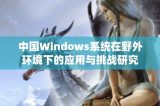 中国Windows系统在野外环境下的应用与挑战研究