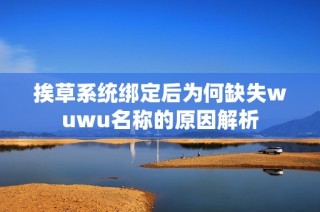 挨草系统绑定后为何缺失wuwu名称的原因解析