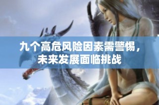 九个高危风险因素需警惕，未来发展面临挑战