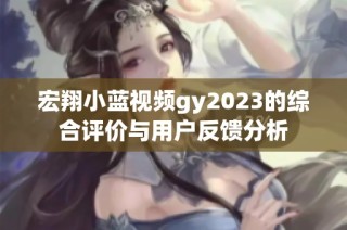 宏翔小蓝视频gy2023的综合评价与用户反馈分析