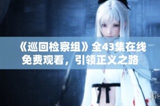 《巡回检察组》全43集在线免费观看，引领正义之路