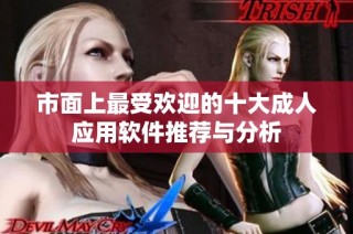 市面上最受欢迎的十大成人应用软件推荐与分析