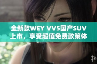 全新款WEY VV5国产SUV上市，享受超值免费政策体验驾驭乐趣