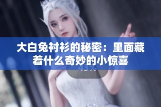 大白兔衬衫的秘密：里面藏着什么奇妙的小惊喜