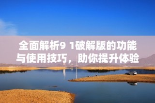 全面解析9 1破解版的功能与使用技巧，助你提升体验