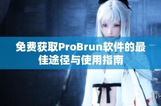 免费获取ProBrun软件的最佳途径与使用指南