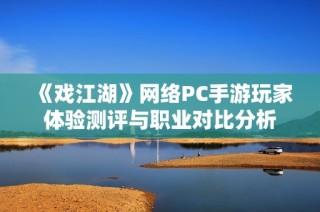 《戏江湖》网络PC手游玩家体验测评与职业对比分析