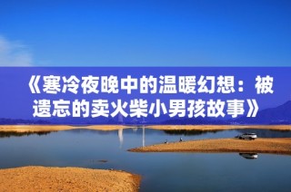 《寒冷夜晚中的温暖幻想：被遗忘的卖火柴小男孩故事》