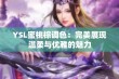 YSL蜜桃棕调色：完美展现温柔与优雅的魅力