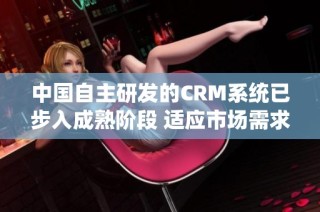 中国自主研发的CRM系统已步入成熟阶段 适应市场需求