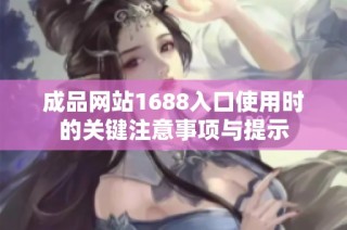 成品网站1688入口使用时的关键注意事项与提示