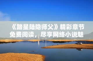 《踏星陆隐师父》精彩章节免费阅读，尽享网络小说魅力