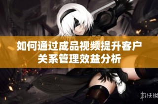 如何通过成品视频提升客户关系管理效益分析