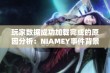 玩家数据成功加载完成的原因分析：NIAMEY事件背景探讨