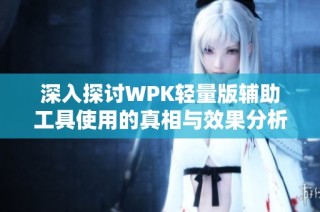 深入探讨WPK轻量版辅助工具使用的真相与效果分析