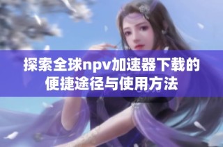 探索全球npv加速器下载的便捷途径与使用方法