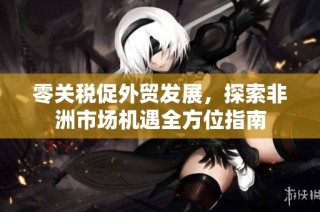 零关税促外贸发展，探索非洲市场机遇全方位指南