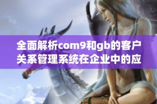 全面解析com9和gb的客户关系管理系统在企业中的应用与优势