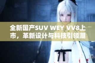 全新国产SUV WEY VV8上市，革新设计与科技引领潮流