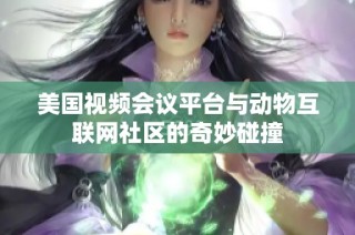 美国视频会议平台与动物互联网社区的奇妙碰撞