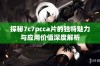 探秘7c7pcca片的独特魅力与应用价值深度解析