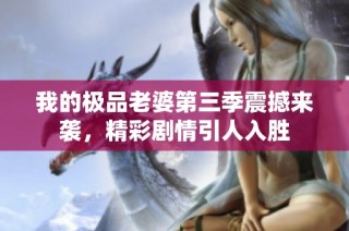 我的极品老婆第三季震撼来袭，精彩剧情引人入胜
