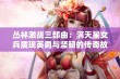 丛林激战三部曲：满天星女兵展现英勇与坚韧的传奇故事