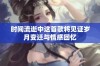 时间流逝中这首歌将见证岁月变迁与情感回忆