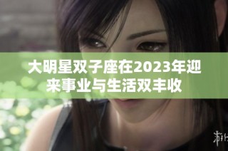 大明星双子座在2023年迎来事业与生活双丰收