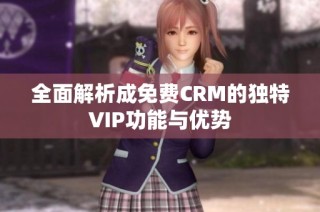 全面解析成免费CRM的独特VIP功能与优势