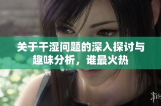 关于干湿问题的深入探讨与趣味分析，谁最火热