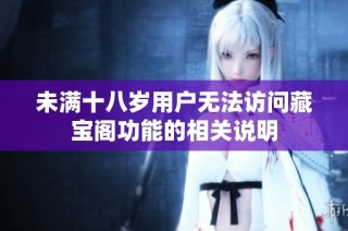 未满十八岁用户无法访问藏宝阁功能的相关说明