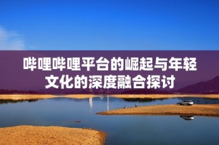 哔哩哔哩平台的崛起与年轻文化的深度融合探讨