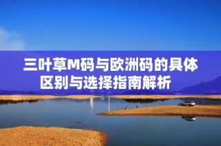 三叶草M码与欧洲码的具体区别与选择指南解析   